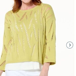 Marla Wynne Cotton moving pointelle stitch sweater